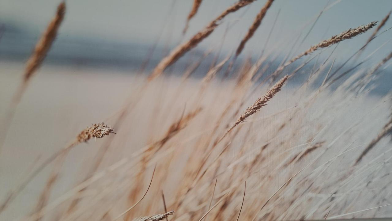 Vila Gile Palanga Dış mekan fotoğraf